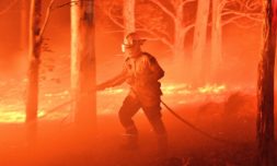 How can you help tackle Australia’s wildfires?