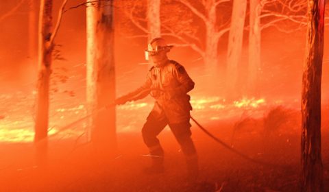 How can you help tackle Australia’s wildfires?