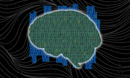 New AI turns brainwaves into complex speech
