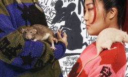 Fashion welcomes the year of the rat