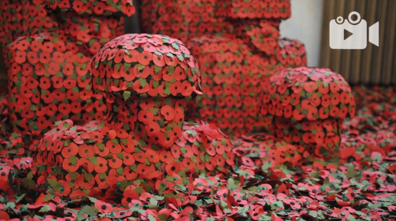 Thred Talk – The politics of poppies | Remembrance Day
