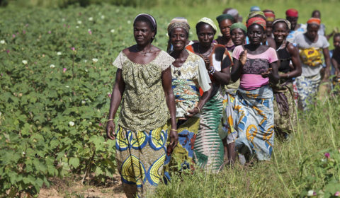 Why women are disproportionately affected by climate change