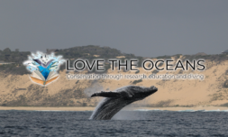 Love The Oceans Love The Oceans