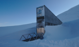 The ‘Doomsday Vault’ preserving agricultural biodiversity