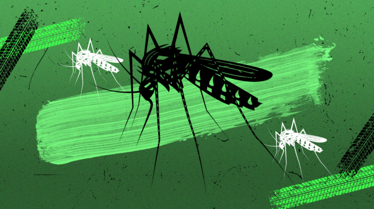 Malaria cure possible with new microbe