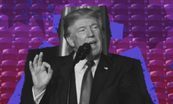 Emptying Trump rallies is useless if we don’t take to the voting booths