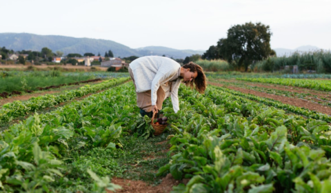 Exclusive – The future of sustainable fashion lies in the hands of the agriculture industry