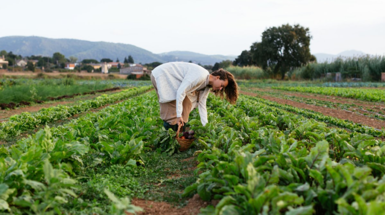 Exclusive – The future of sustainable fashion lies in the hands of the agriculture industry