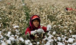 Google and WWF team up to drive sustainable fashion sourcing