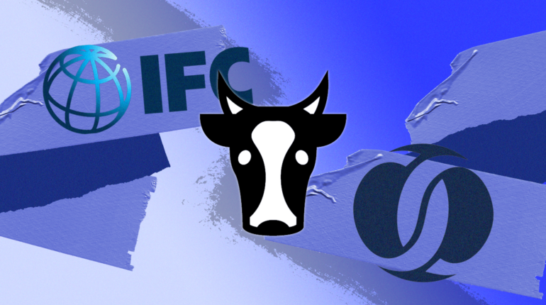 Development banks spend billions on industrial farming