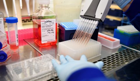 The first human trial of potential coronavirus vaccine shows promise