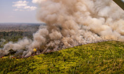 The Amazon rainforest is burning once again