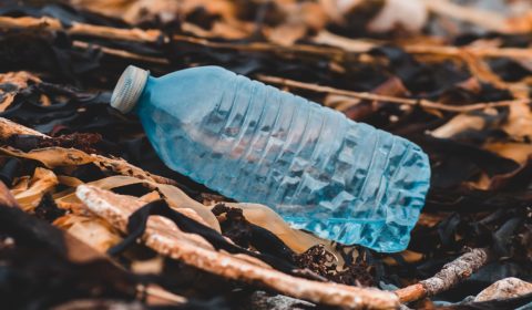 Plastic pollution is a fight we can win if we act now