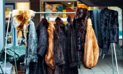 The UK is considering an outright ban on fur sales post-Brexit