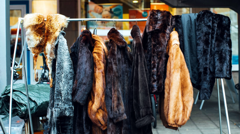 The UK is considering an outright ban on fur sales post-Brexit