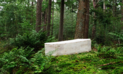 This new ‘living’ fungi coffin is revolutionising our graveyards