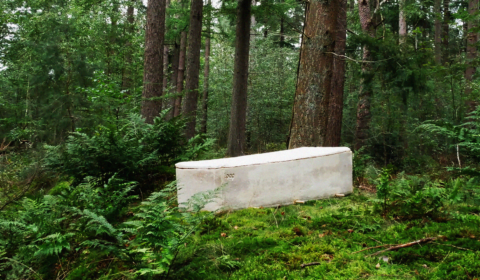 This new ‘living’ fungi coffin is revolutionising our graveyards