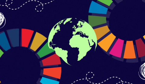 The Sustainable Development Goals tell an inaccurate story of global progress