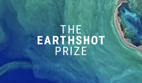 ‘Earthshot Prize’ is the largest environmental award ever