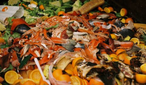 Quorn launches Instagram initiative to combat food waste crisis