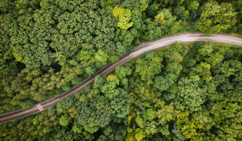 Trans-Amazon highway project threatens Brazil’s biodiversity