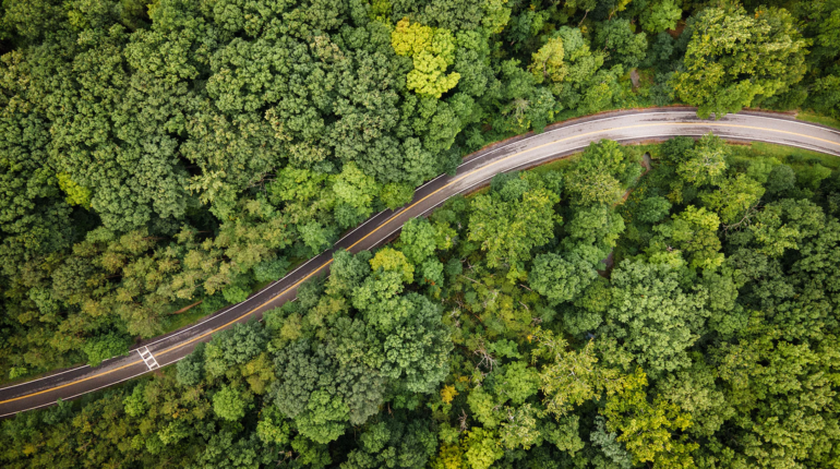Trans-Amazon highway project threatens Brazil’s biodiversity