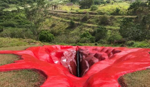 Enormous vulva sculpture sparks controversy in Brazil