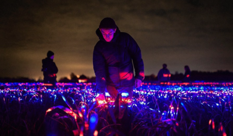 Science and agriculture come together in art installation