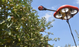 The autonomous fruit picking robots rescuing the farming industry