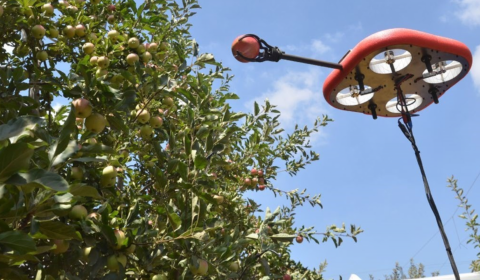 The autonomous fruit picking robots rescuing the farming industry