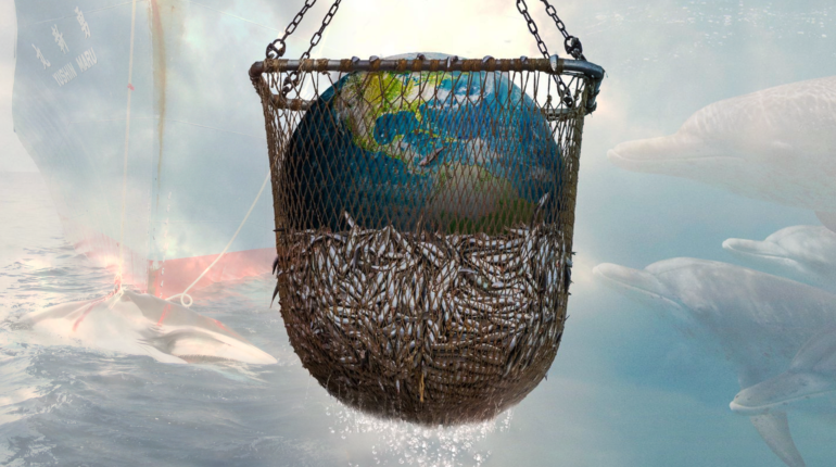 Seaspiracy: an unflinching look at the damage of overfishing