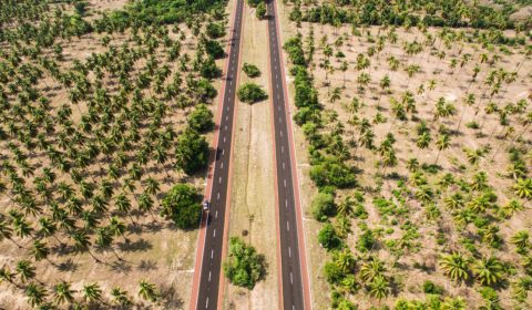 Sri Lanka joins palm oil boycott by banning imports