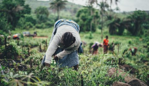 How is climate change a threat to African agriculture?