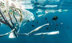 Scientists call for global ban on virgin plastics by 2040