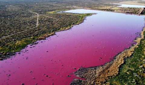 This lake in Argentina has turned bright pink