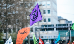 A beginner’s guide to environmental racism