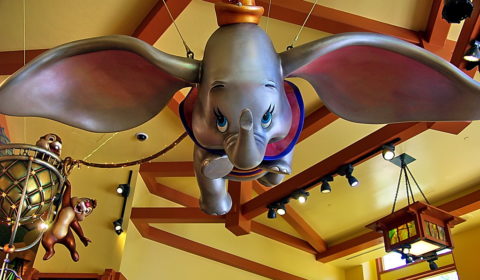 Animals are ‘shapeshifting’ to cope with climate change Animals are ‘shapeshifting’ to cope with climate change