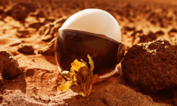 Colorado scientists grow first plants from Martian soil