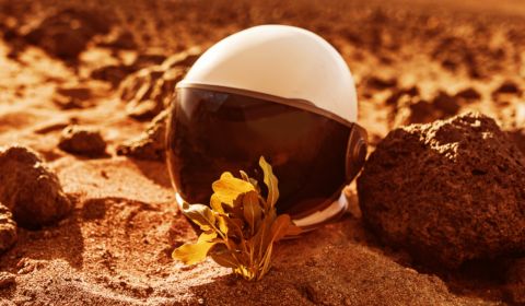 Colorado scientists grow first plants from Martian soil