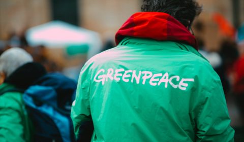 How is Greenpeace reflecting on turning fifty?