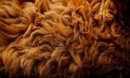 Kering bans fur across all its businesses