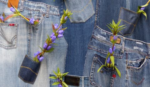 Italian brand Candiani is making fully biodegradable denim