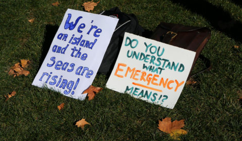 ‘Insulate Britain’ protesters to suspend disruptive campaigning