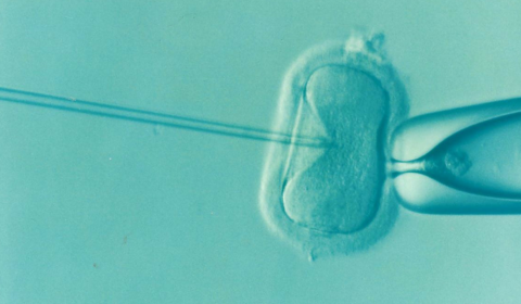 Unregistered IVF clinics on the rise in Nigeria
