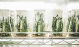 How science labs are building the future of food