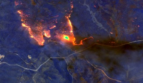 COP26 can save us from more than just a warming world