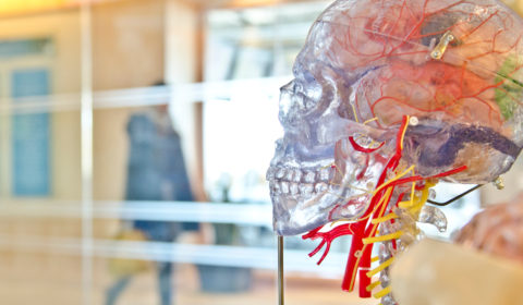 World’s first person medically diagnosed with ‘climate change’