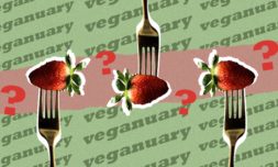 Is Veganuary really a sustainable option to save the planet?