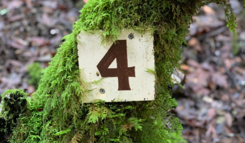 Four noteworthy global achievements of 2021 Four noteworthy global achievements of 2021