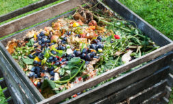 California is trading food landfills for composted green energy